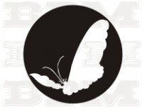 /album/hmyz/hmyz-24-jpg/